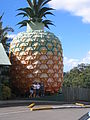 Le gros ananas à Nambour en Australie, ouvert en 1971