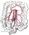 Arteriae mesentericae inferioris cursus