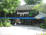 Image illustrative de l’article Zoo de Singapour