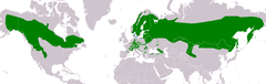 Mapa de distribuição da Aegolius funereus