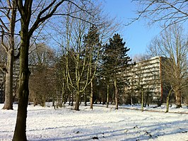 Hoogbouw in de Molenwijk