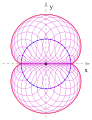 Nephroide: Einhüllende