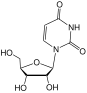 structure chimique de l'uridine