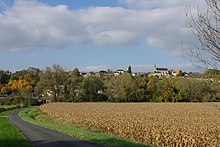 Usa ka kinatibuk-ang pagtan-aw sa Saint-Michel-sur-Loire