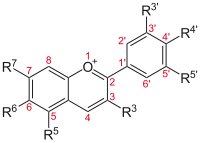 Basic structure of Anthocyans: The flavio-cation