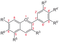 Grundstruktur der Anthocyane: das Flavyliumkation