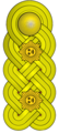 General de division (Venezuelan Army)[31]