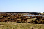 Stubber Kloster med Ladegård Sø i förgrunden.