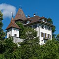 Schloss Tannenfels in Nottwil