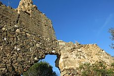 Castell de Voltrera