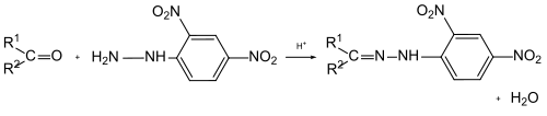 Bildung von 2,4-Dinitrophenylhydrazonen aus Carbonylverbindungen