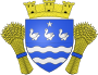 Blason de Cerny