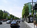 Champs-Elysees Paris