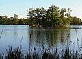 Riddagshausen nature reserve