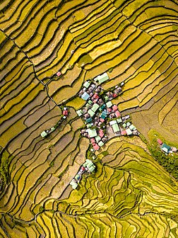 Rizières en terrasses autour du village de Batad, à Banaue, dans l'île philippine de Luçon. (définition réelle 2 992 × 3 992)