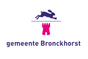 Flagge des Ortes Bronkhorst