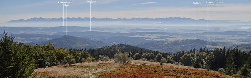 Widok z Hali Krupowej na Tatry i Beskid Orawsko-Podhalański