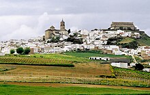 Montilla 1990.jpg