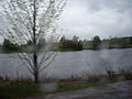 Otonabee River as it flows past Peterborough County Road 32 on a rainy day, near Lakefield, Ontario