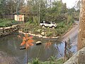 Flamingo enclosure landscaping