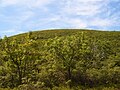 Lāču kalns (Bear mountain) Konektikutas augstākā virsotne