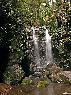 Box Log Falls im Lamington-Nationalpark