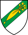 Coat of arms of Marchissy