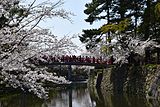 岡崎公園（岡崎城）