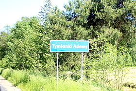 Tymianki-Adamy