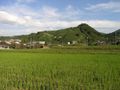 Farmland in Wazuka