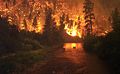 Image 37Elk Bath, an award-winning photograph of elk avoiding a wildfire in Montana (from Wildfire)