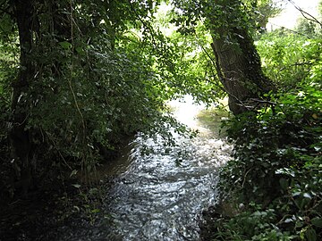 La rivière le Beaurepaire à Voulpaix.