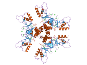 2j9l: CYTOPLASMIC DOMAIN OF THE HUMAN CHLORIDE TRANSPORTER CLC-5 IN COMPLEX WITH ATP