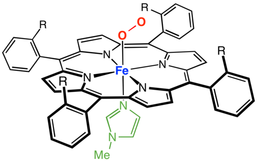 Exemple de porphyrine à palissade complexée avec du fer, les sites de coordination axiaux étant occupés par la méthylimidazole (en vert) et l'oxygène.