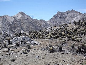 Vue du pico Piedras Blancas, à droite, et du pico Mucumamó, à gauche, depuis l'Alto de Mifafí.