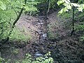 Riisgaards Bæk, a small stream at the bottom of a broad gully.