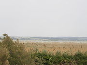 L'étang de Scamandre au pied des Costières