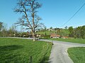 Kohlgrub, östlicher Ortsrand des Weilers südlich von Grainbach