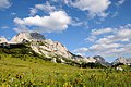 Veduta tal-quċċata Maglić mill-Park Nazzjonali ta' Sutjeska.