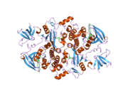 2c0o: SRC FAMILY KINASE HCK WITH BOUND INHIBITOR A-770041