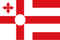 Vlag van Rosmalen