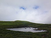 山頂直下の泉水沼