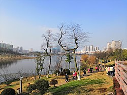 Shennong Park in March 2019