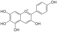 Image illustrative de l’article Aurantinidine