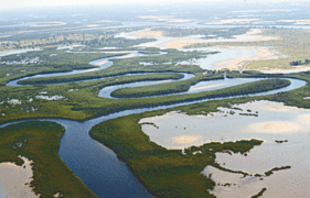 Sine-Saloum ibaiaren deltako meandroak (Senegal)