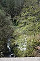 Le Dourdou au Pont de la Mouline.