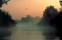 A billabong in the Kakadu National Park, Northern Territory. The monsoon climate of northern Australia is hot and humid in summer.