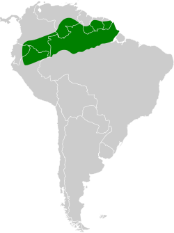 Distribución geográfica del soterillo acollarado.