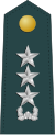 Middle general