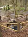 Ein seltener Anblick: Der Spittelbrunnen, ein Hungerbrunnen im Mühlhäuser Stadtwald, führt Wasser